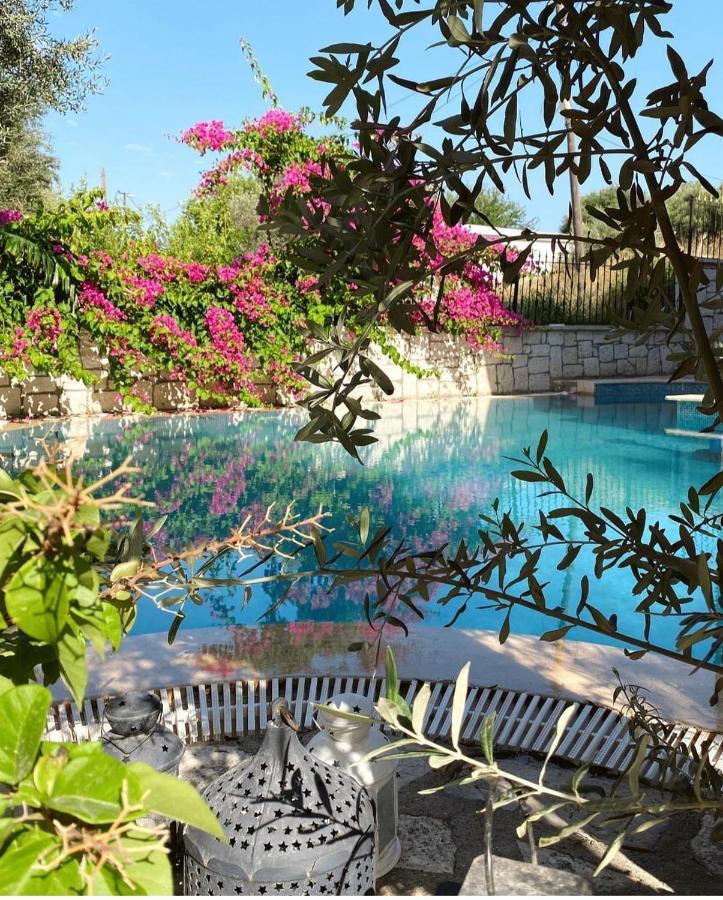 Ata Boutique Hotel Çeşme 外观 照片