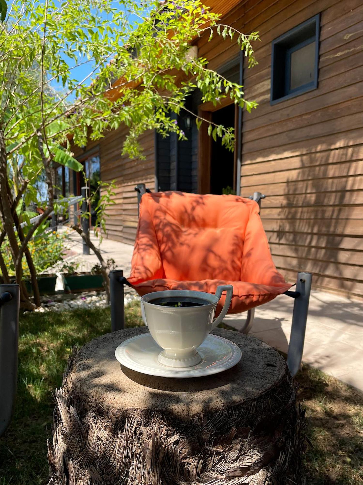 Ata Boutique Hotel Çeşme 外观 照片