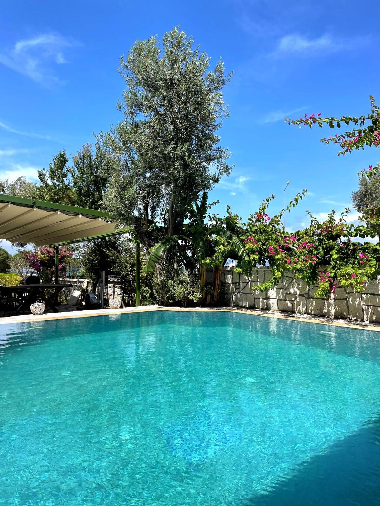 Ata Boutique Hotel Çeşme 外观 照片