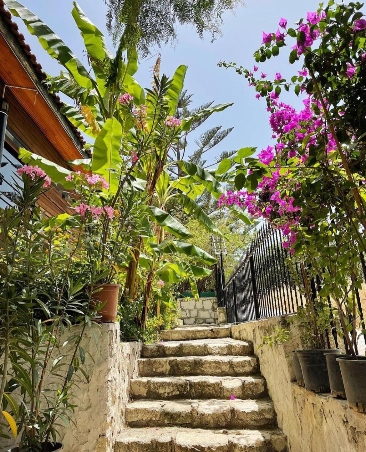 Ata Boutique Hotel Çeşme 外观 照片